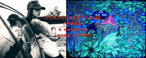 стафф Волоколамск