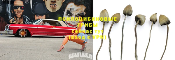 стафф Володарск