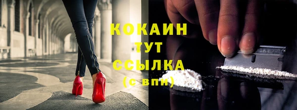 стафф Володарск