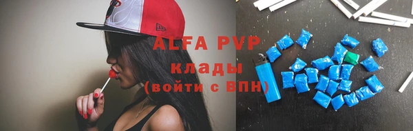 стафф Володарск