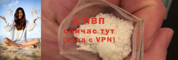 стафф Володарск